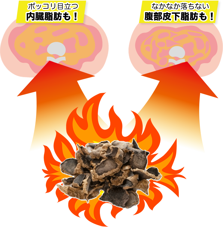 Wの脂肪をガンガン燃やす！