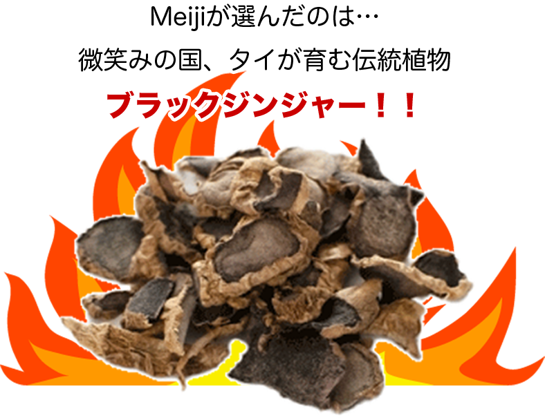 ブラックジンジャー