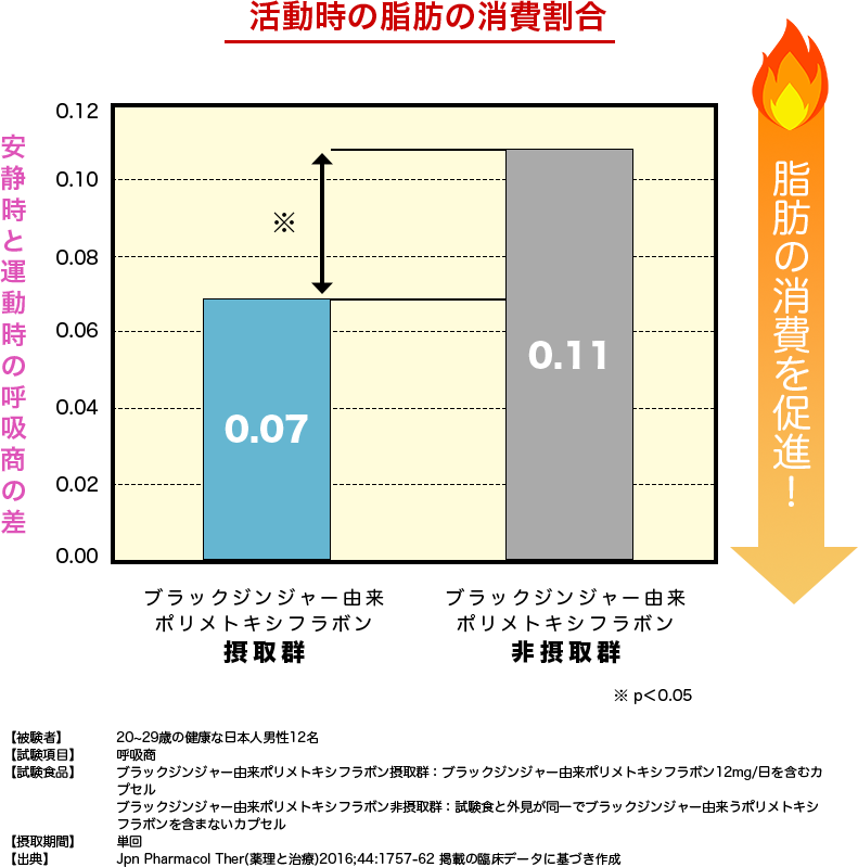 活動時の脂肪の消費割合